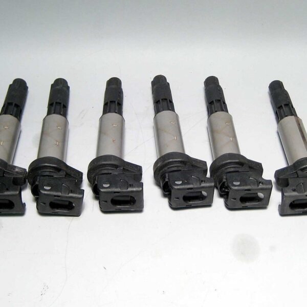 BMW E46 Set of 6 Ignition Coil 2002-2010 M54 M56 N62 N62N N73 OEM USED