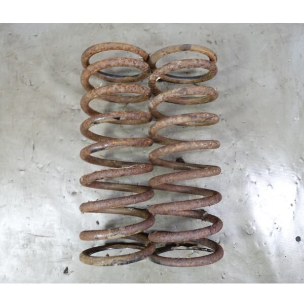 1972-1976 BMW E3 3.0 Bavaria Sedan Factory Rear Coil Spring Pair Left Right OEM