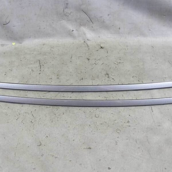 BMW E63 6-Series Coupe Exterior Gutter Roof Trim Strips Space Grey Left Right OE