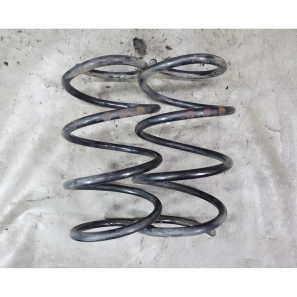 BMW E64 6-Series Factory Front Axle Coil Spring Pair Left Right 2004-2010 OEM