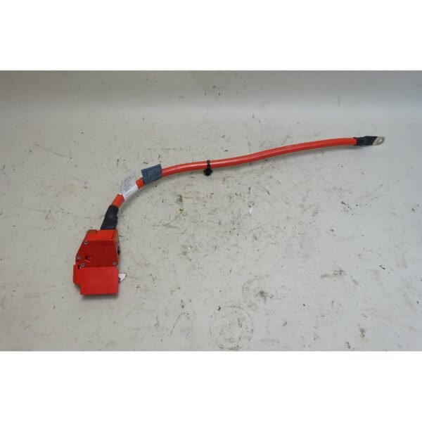 2014-2019 BMW F15 X5 F16 X6 Factory Positive Battery Cable w Fuse OEM